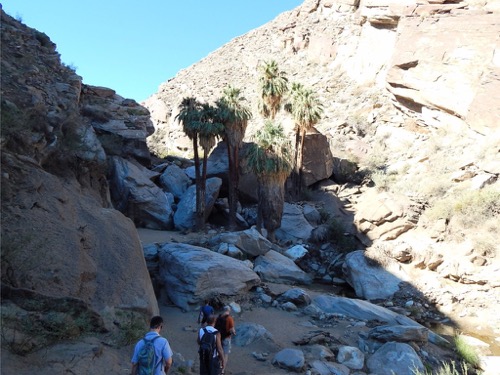 Hiking